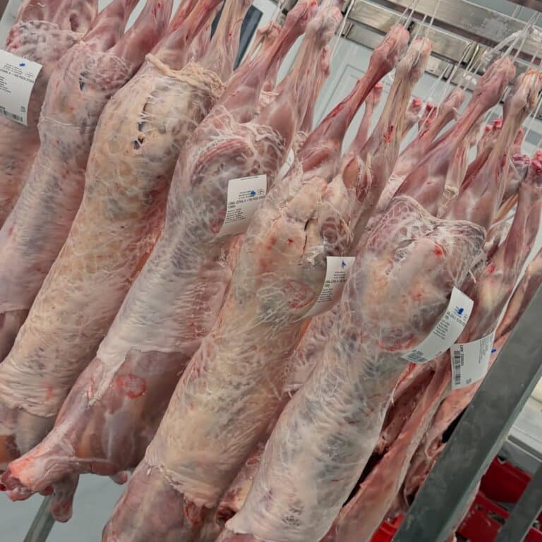Lechal de 5kg  17,95€/kg en tienda  120€ entero online  60€ medio online